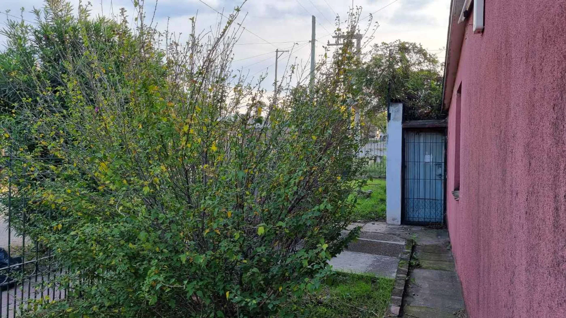 Casa 3 dormitorios en Parque República foto 5