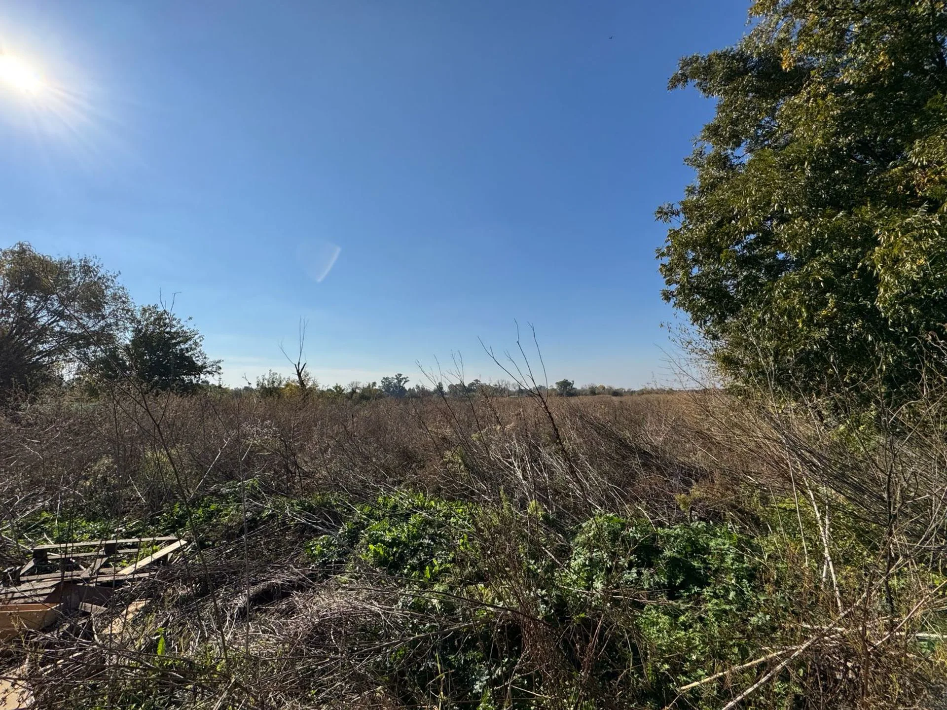 VENTA CAMPO 8,5 HECTAREAS, RUTA 25 PILAR foto 2
