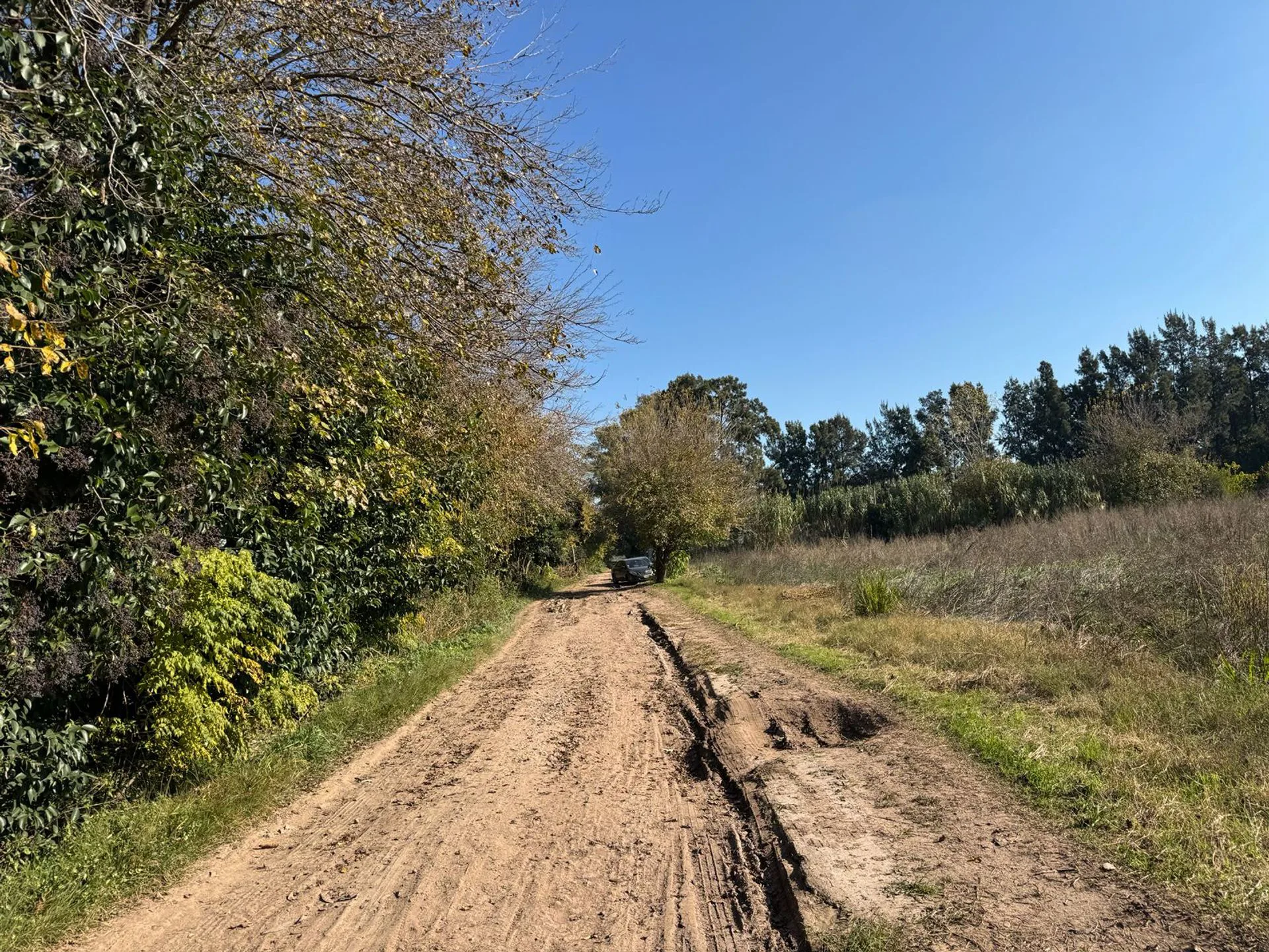 VENTA CAMPO 8,5 HECTAREAS, RUTA 25 PILAR foto 3