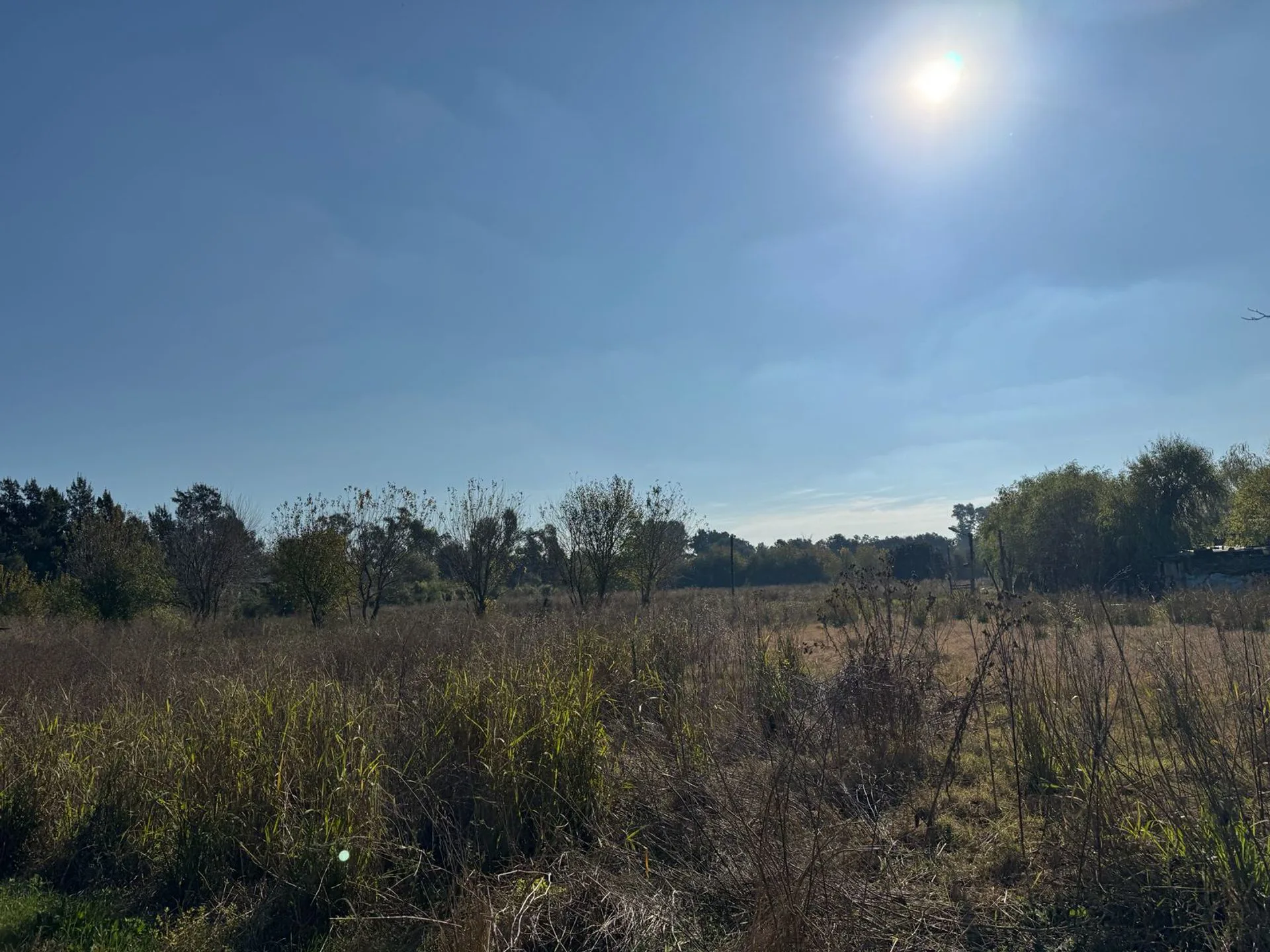 VENTA CAMPO 8,5 HECTAREAS, RUTA 25 PILAR foto 5