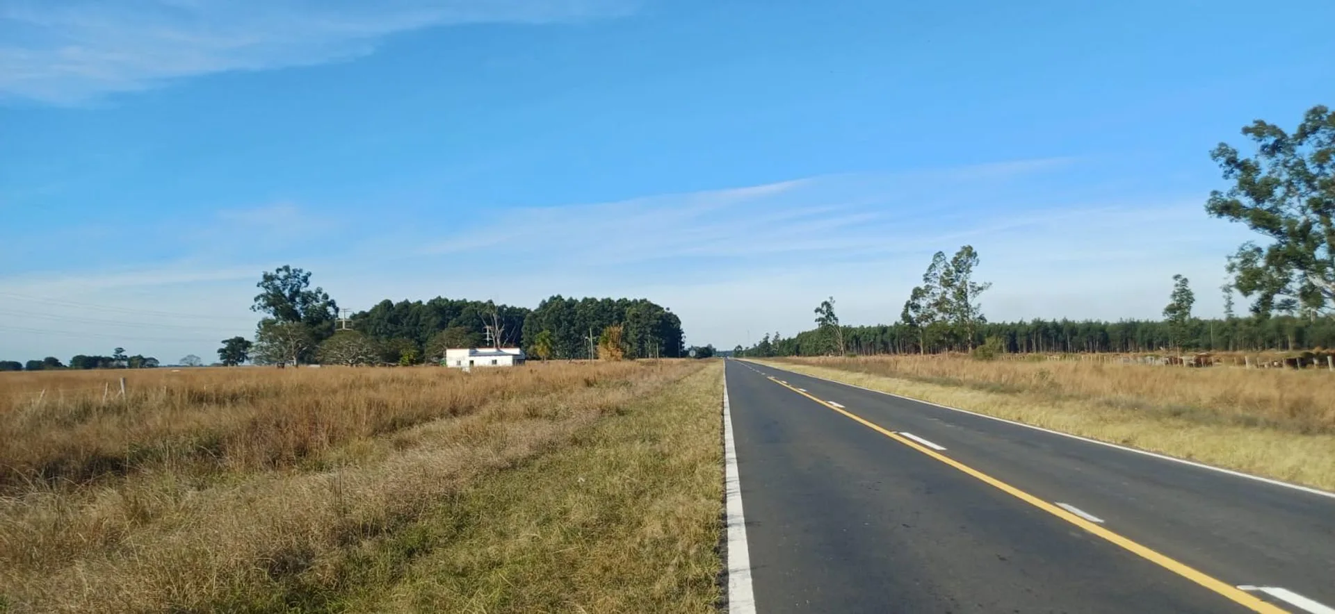 Terreno 4.5ha en Pje Batel, Sobre Ruta Nac. 12 foto 2