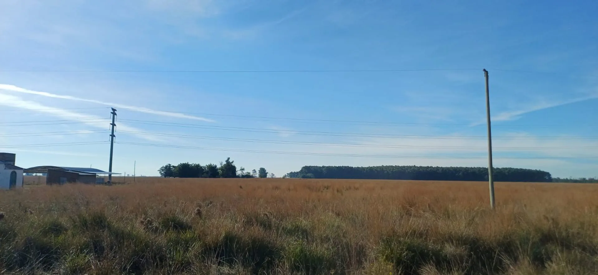 Terreno 4.5ha en Pje Batel, Sobre Ruta Nac. 12 foto 3