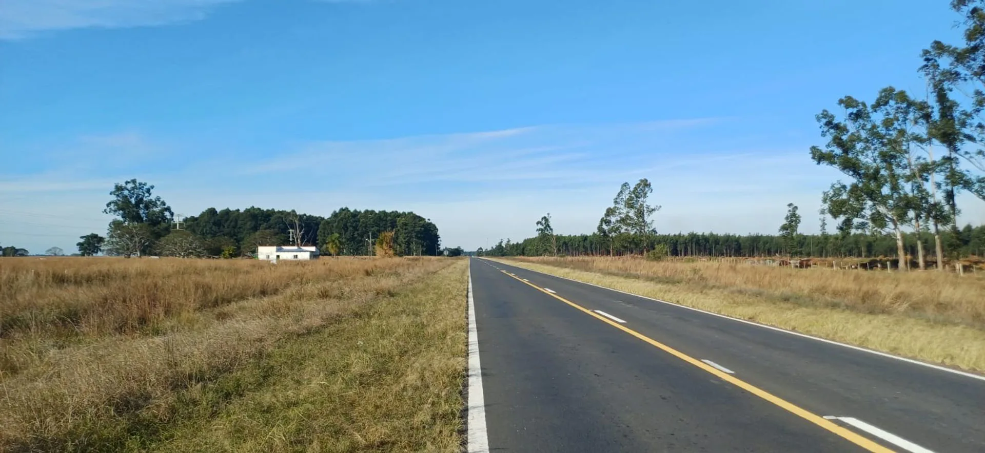 Terreno 4.5ha en Pje Batel, Sobre Ruta Nac. 12 foto 5