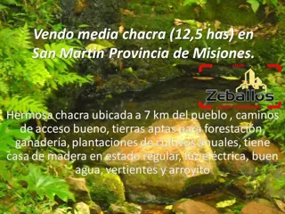 vendo media chacra 12.5 has en san martin foto 1