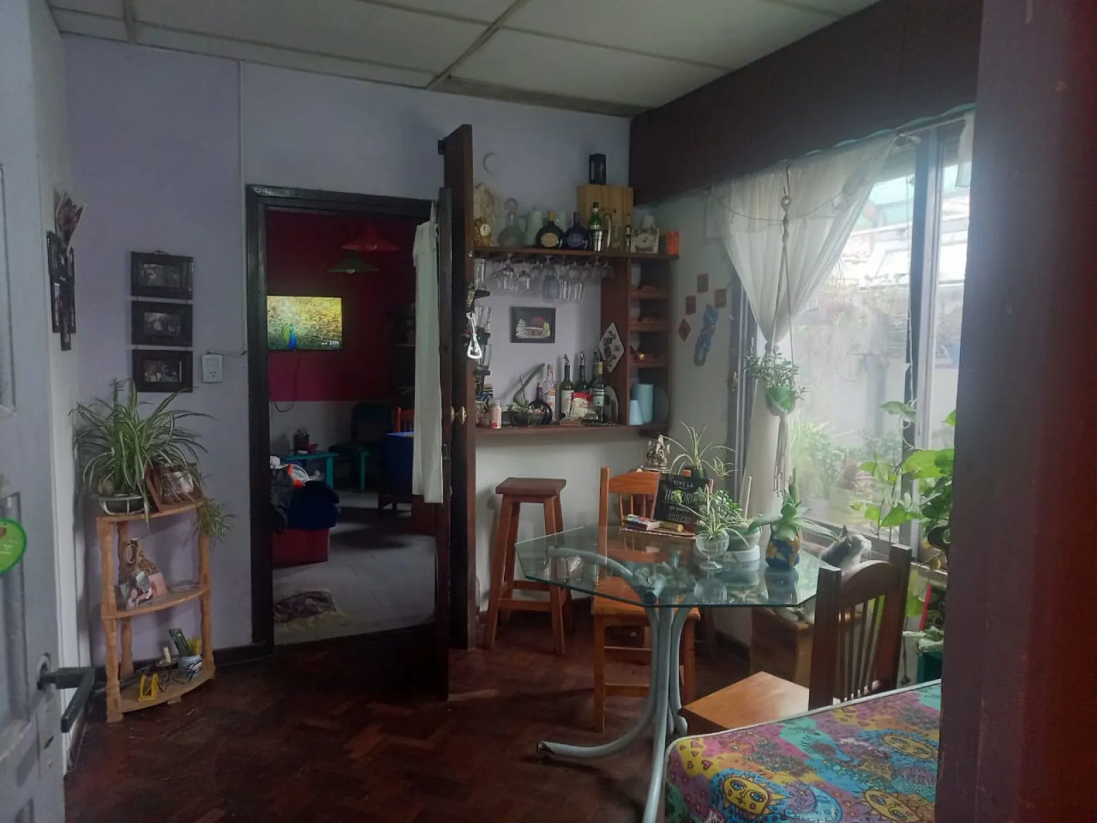 CASA VENTA EN LOTE PROPIO CON TRES VIVIENDAS - VILLA LUGANO - CAPITAL FEDERAL , Piedra Buena 5500 - Villa Lugano foto 3