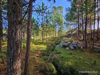 Lotes serranos en Villa Yacanto. Excelente zona. FINANCIACIÓN foto 2