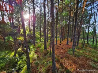 Lotes serranos en Villa Yacanto. Excelente zona. FINANCIACIÓN foto 4
