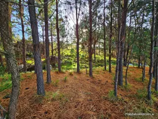 Lotes serranos en Villa Yacanto. Excelente zona. FINANCIACIÓN foto 5