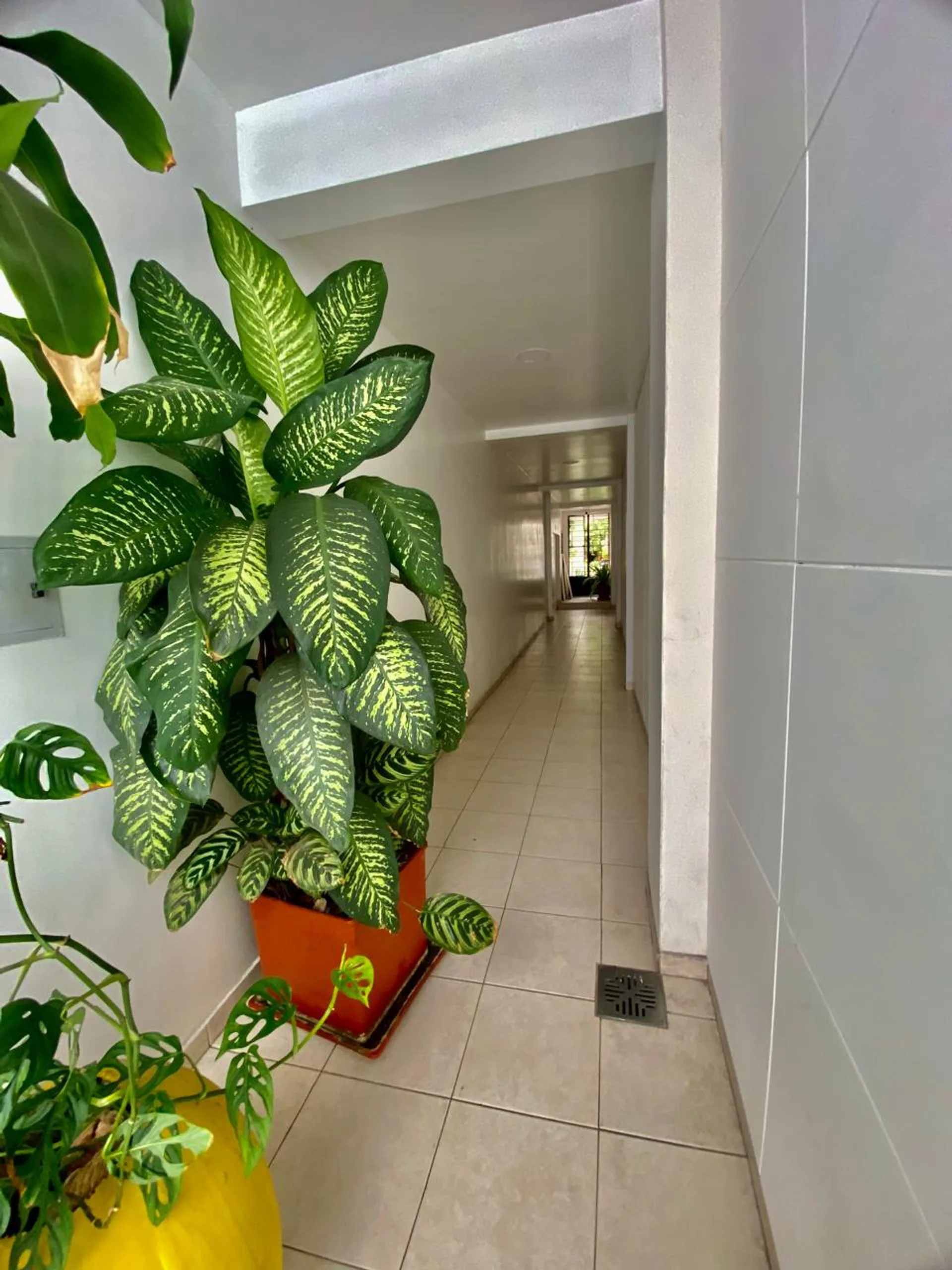 VENTA CASA DE 4 AMBIENTES SAN JUSTO foto 2