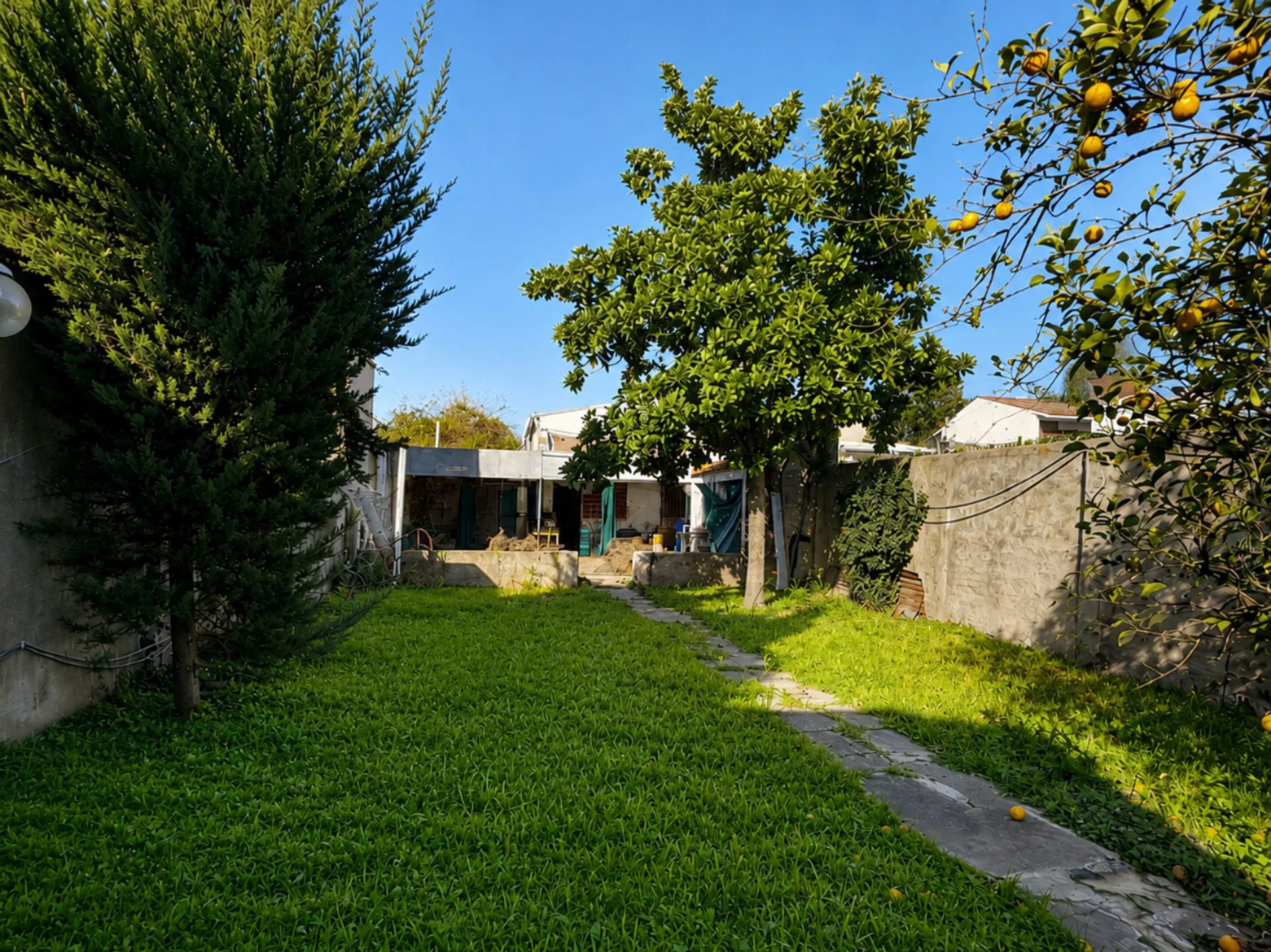 Zona Costanera de Santo Tomé, frente al río Salado foto 5