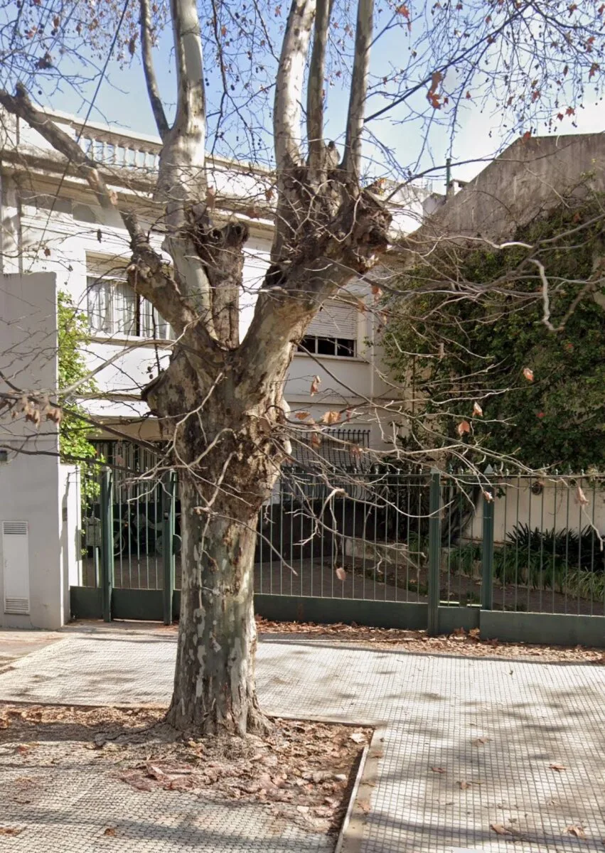 LOTE EN VENTA foto 3