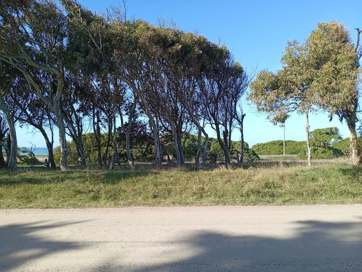 VENTA LOTE 605M FRENTE AL MAR PLAYA LOS LOBOS