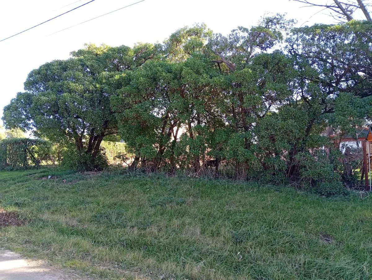 VENTA LOTE 605M FRENTE AL MAR PLAYA LOS LOBOS foto 3