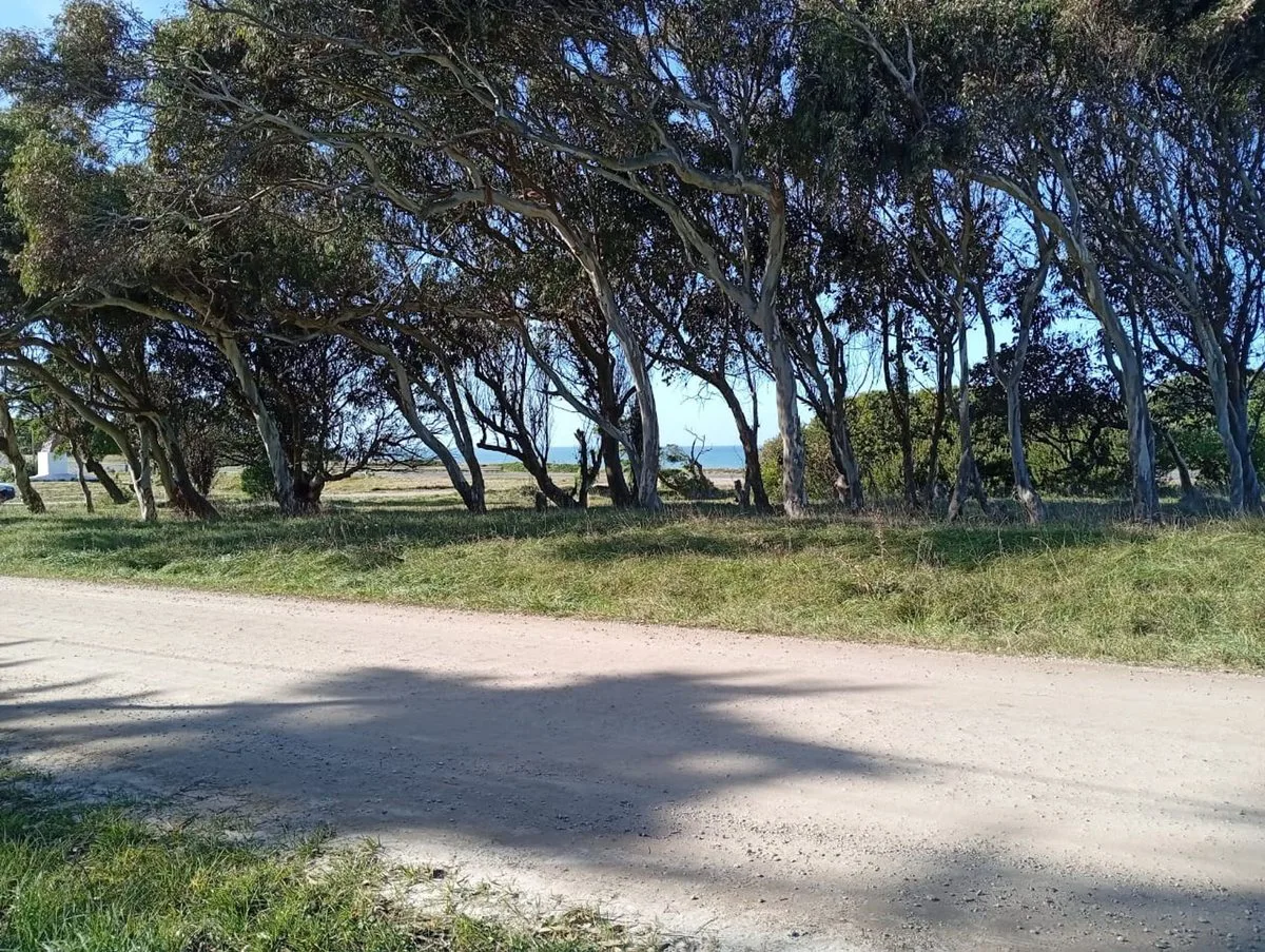 VENTA LOTE 605M FRENTE AL MAR PLAYA LOS LOBOS foto 4