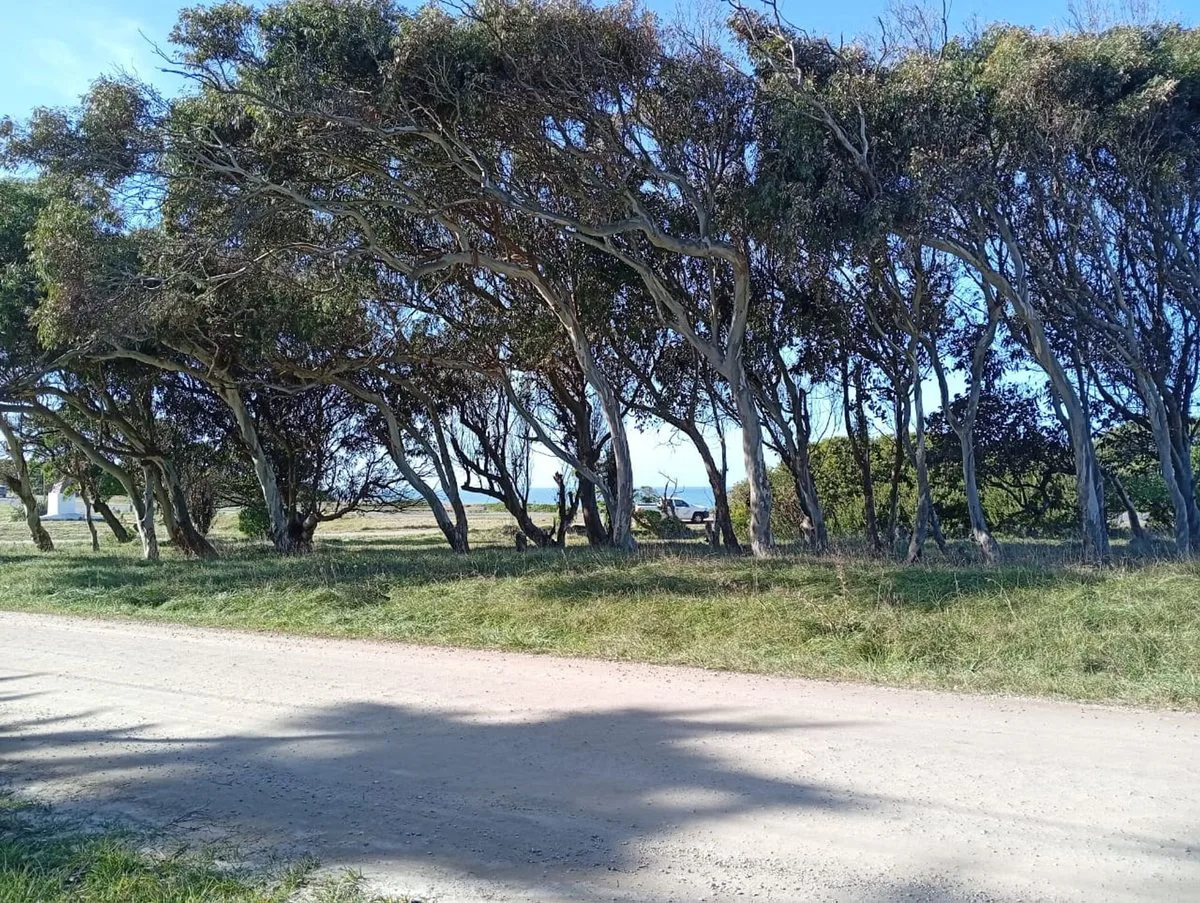 VENTA LOTE 605M FRENTE AL MAR PLAYA LOS LOBOS foto 5