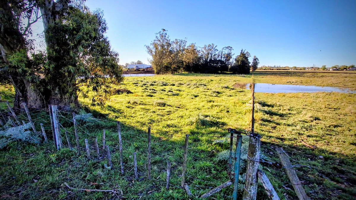 VENTA Lote - Quinta 10.000 m2 (54,80 x 182,40) foto 3