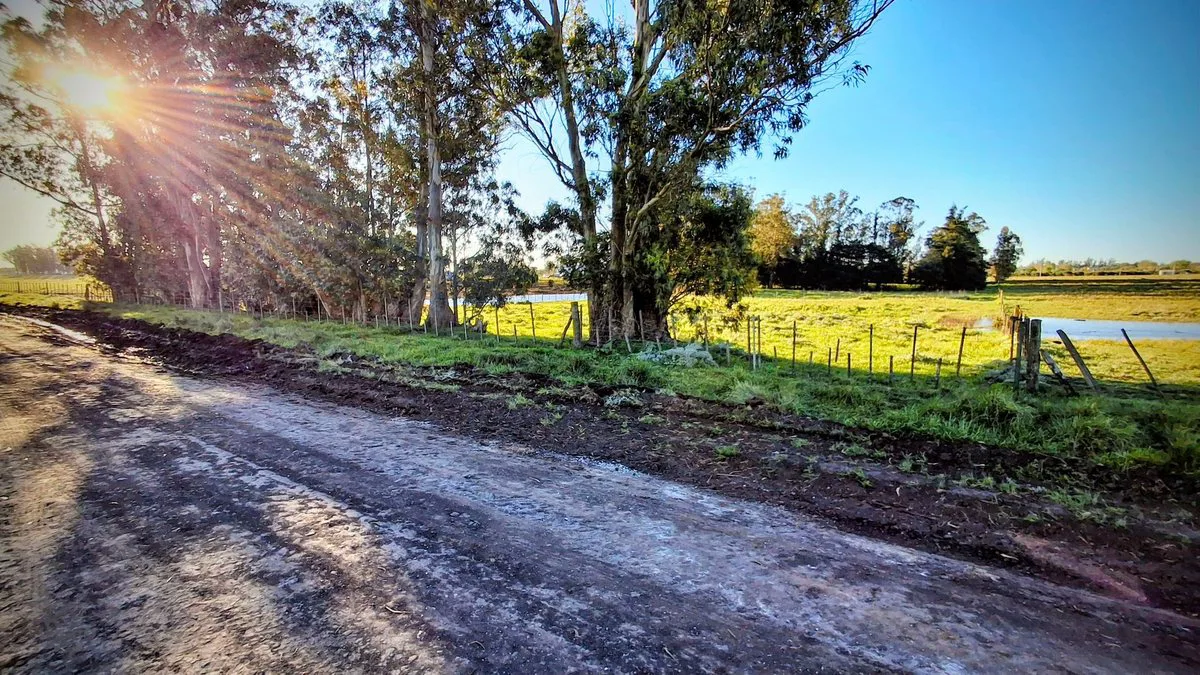 VENTA Lote - Quinta 10.000 m2 (54,80 x 182,40) foto 4
