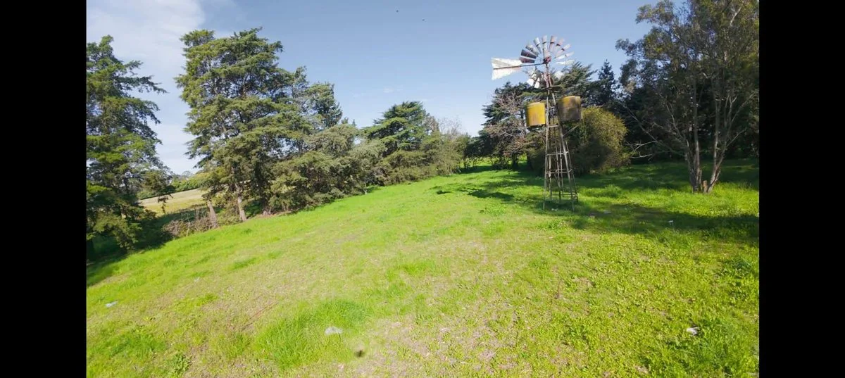 VENTA Lote - Quinta 10.000 m2 (54,80 x 182,40) foto 5