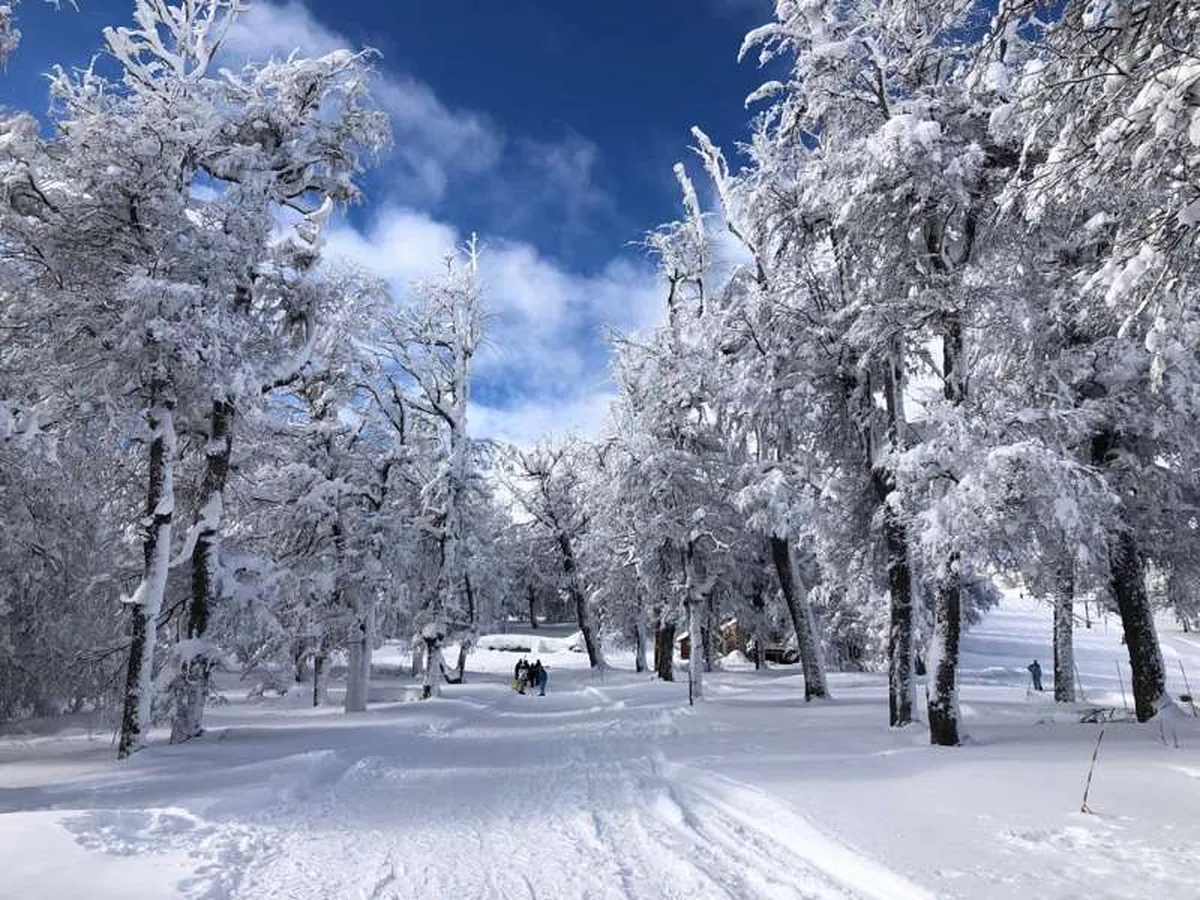 Ruta 19, acceso cerro Chapelco PB B M5 foto 5
