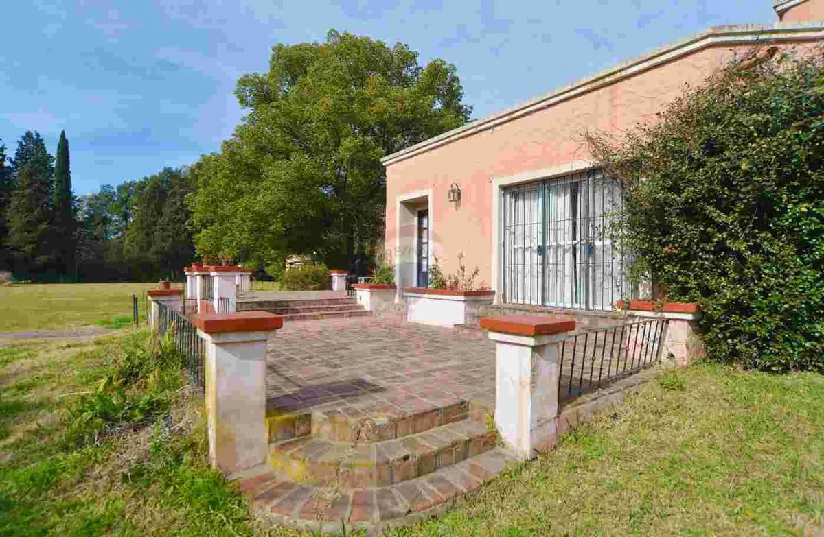 Finca en Pilar, 1.6ha de naturaleza y confort. foto 2