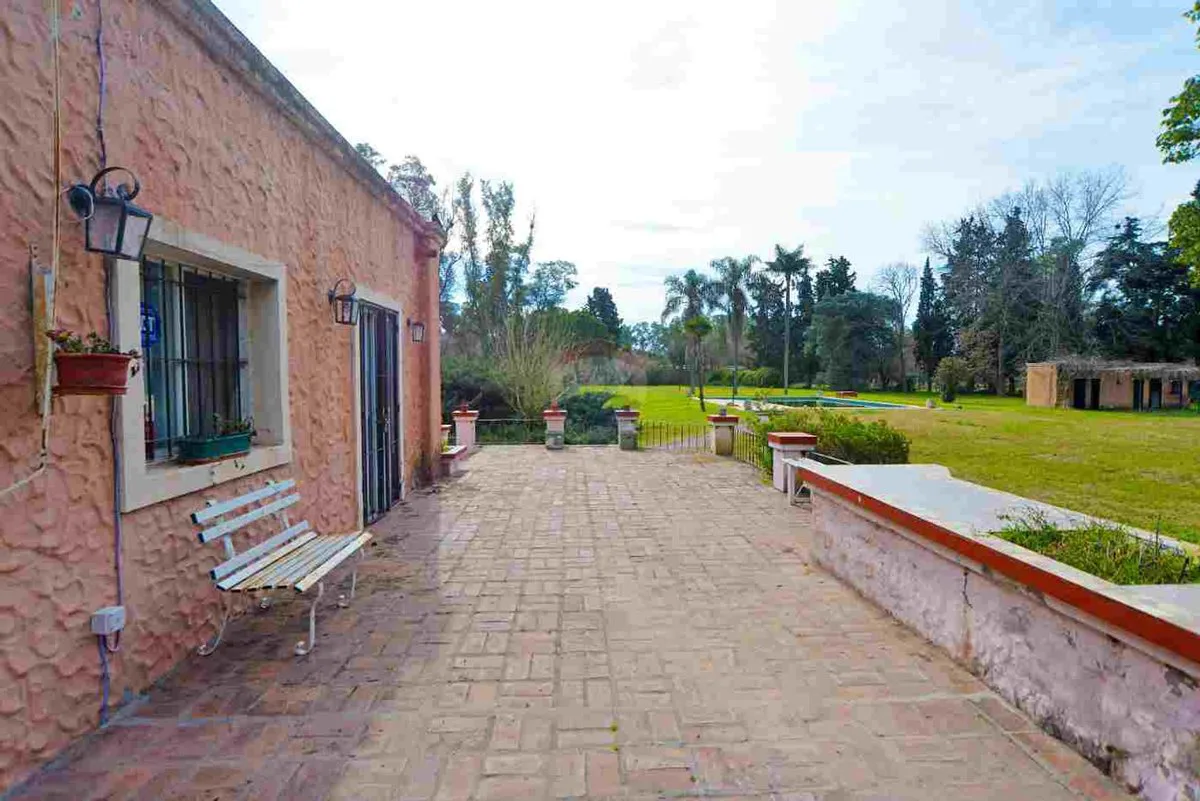 Finca en Pilar, 1.6ha de naturaleza y confort. foto 5