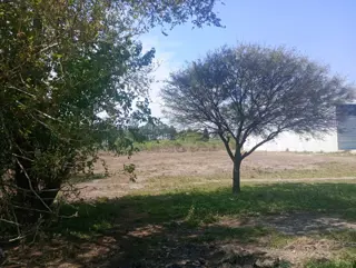 Gran terreno de 10.000 m2, zona Aeropuerto Paraná foto 3