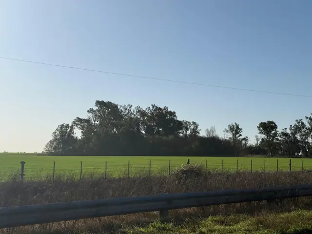 Venta campo 10 hectáreas sobre ruta nacional 33