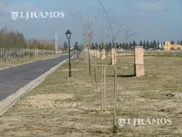 Terreno en venta en  San Juan Villanueva foto 4