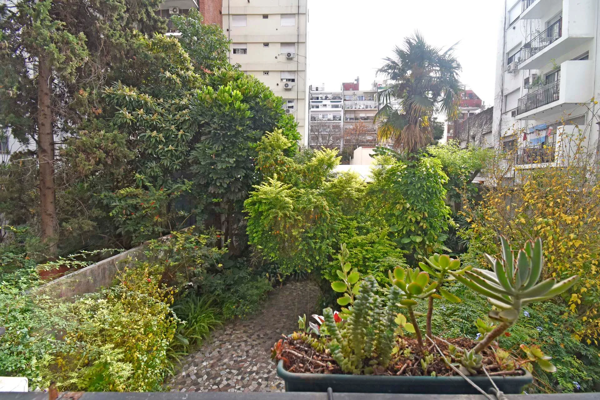 3 ambientes con dependencias Alto Palermo foto 5