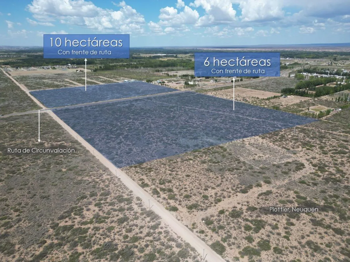 VENTA DE LOTE 6 HECTAREAS PLOTTIER NEUQUEN foto 2