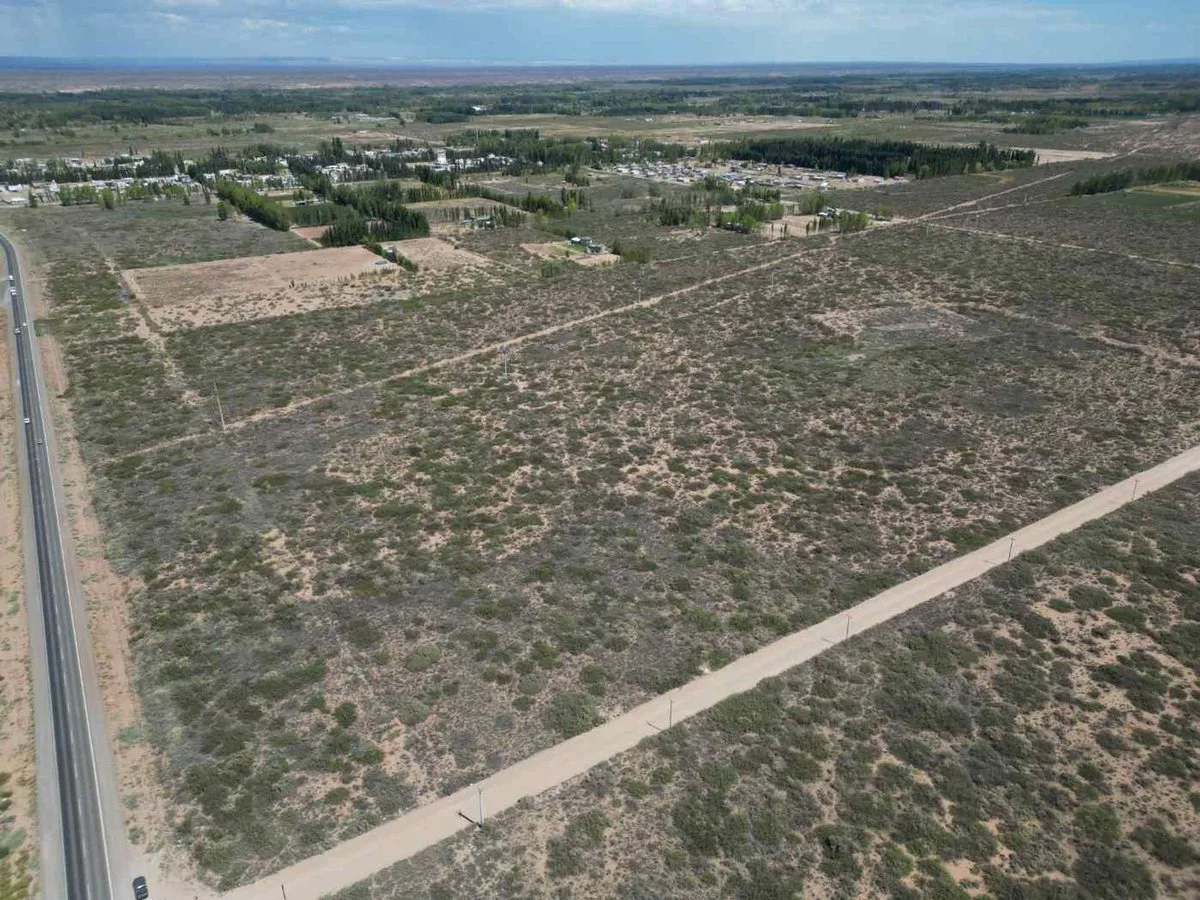 VENTA DE LOTE 6 HECTAREAS PLOTTIER NEUQUEN foto 3