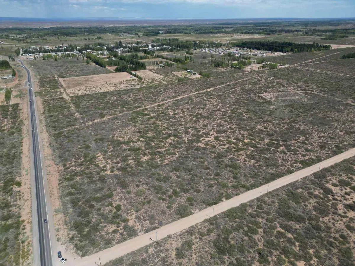 VENTA DE LOTE 6 HECTAREAS PLOTTIER NEUQUEN foto 4