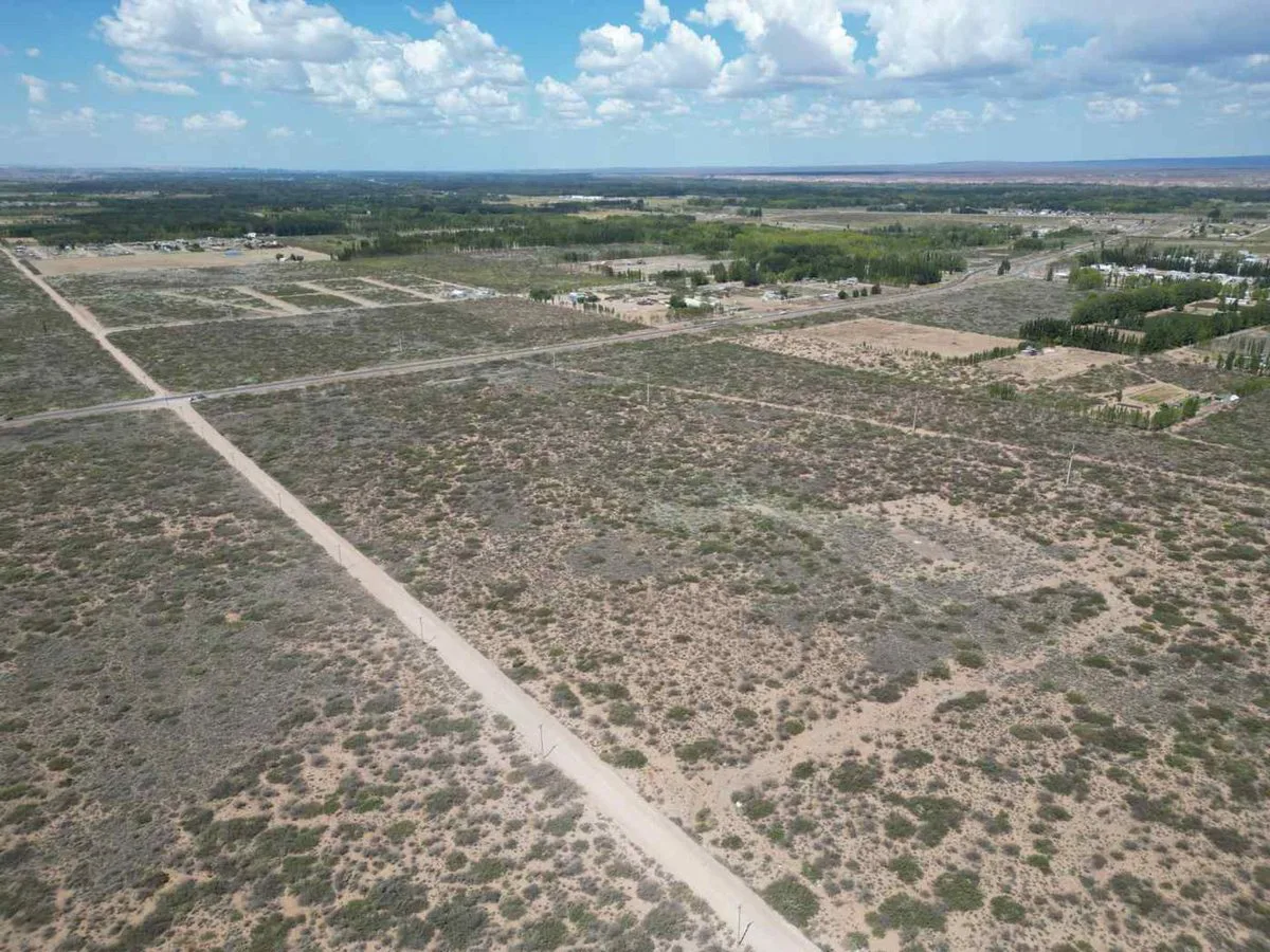 VENTA DE LOTE 6 HECTAREAS PLOTTIER NEUQUEN foto 5