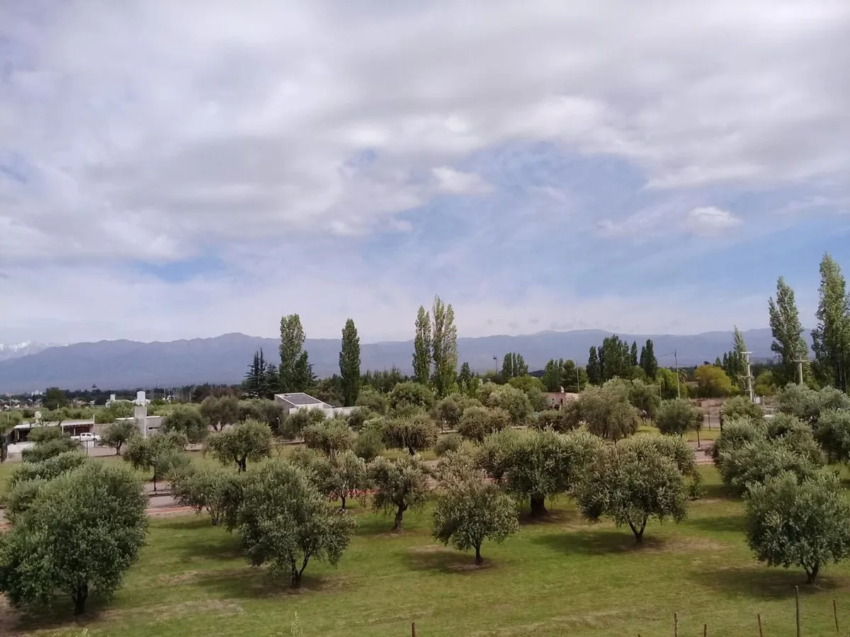 Lote esquina en venta en Olivos de Furlotti foto 2