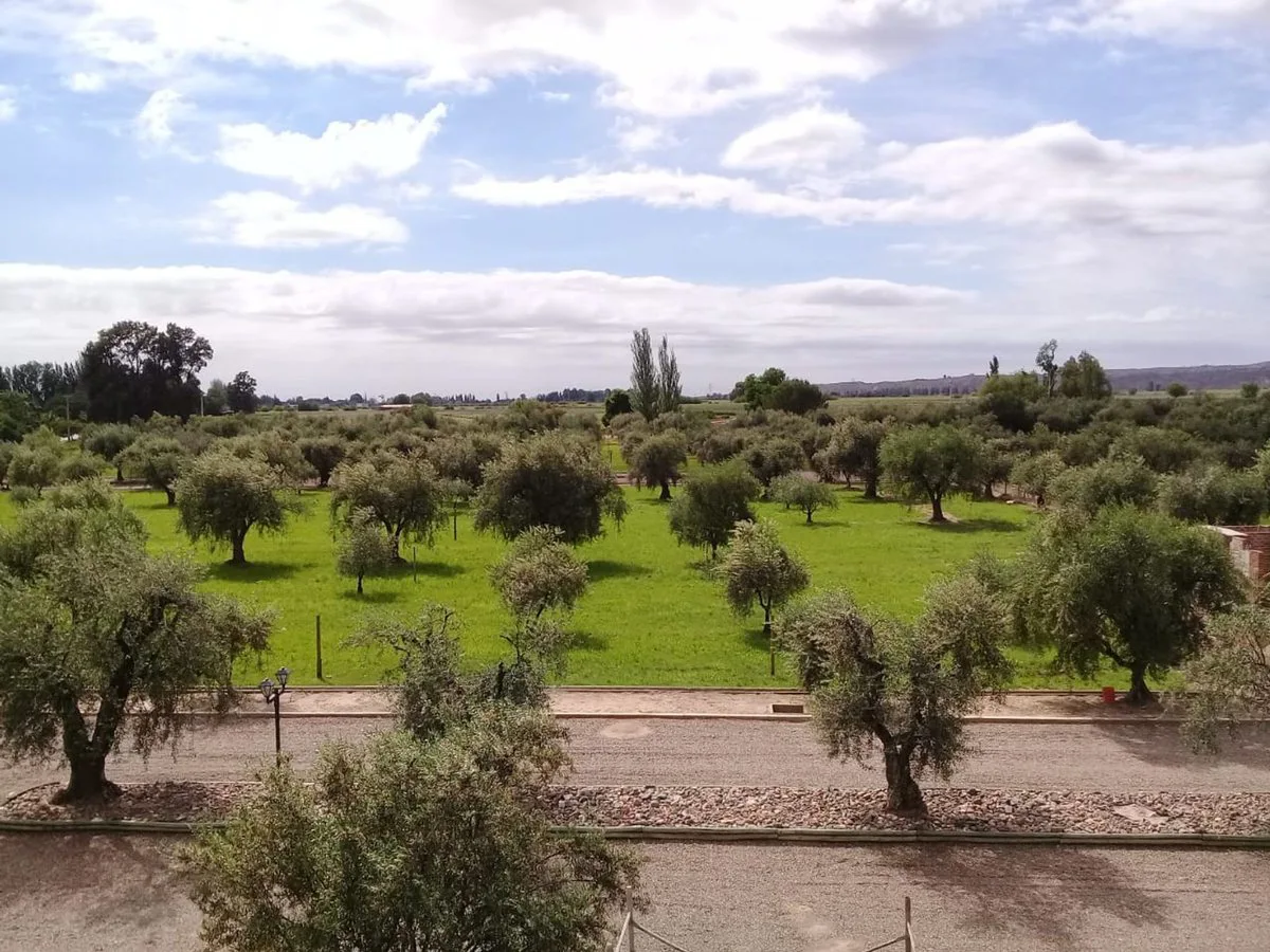 Lote esquina en venta en Olivos de Furlotti foto 3
