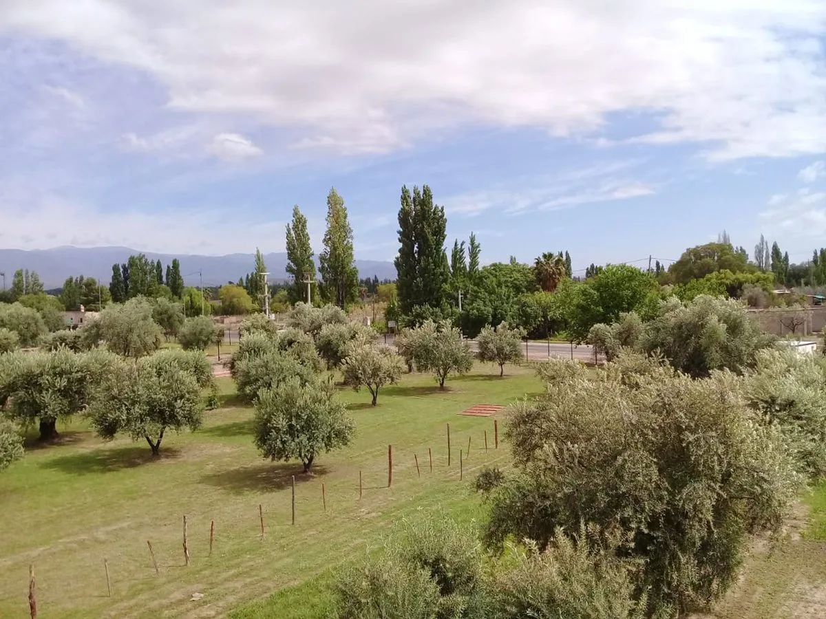 Lote esquina en venta en Olivos de Furlotti foto 4