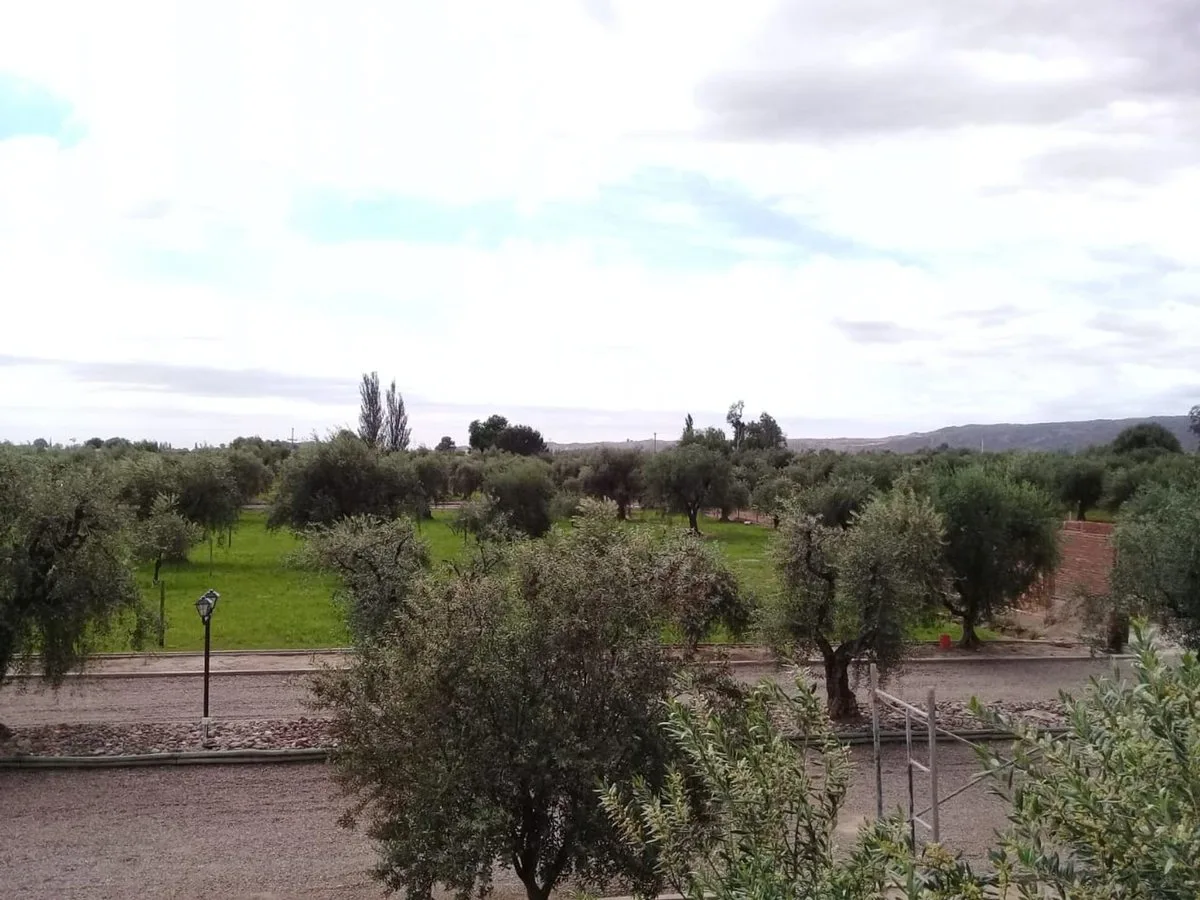 Lote esquina en venta en Olivos de Furlotti foto 5