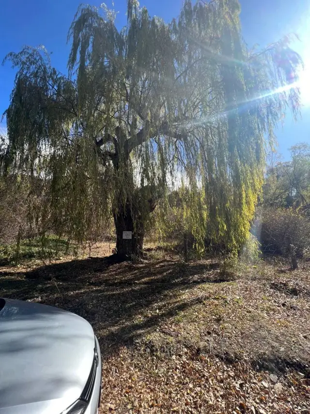 Venta de Lote en Potrerillos