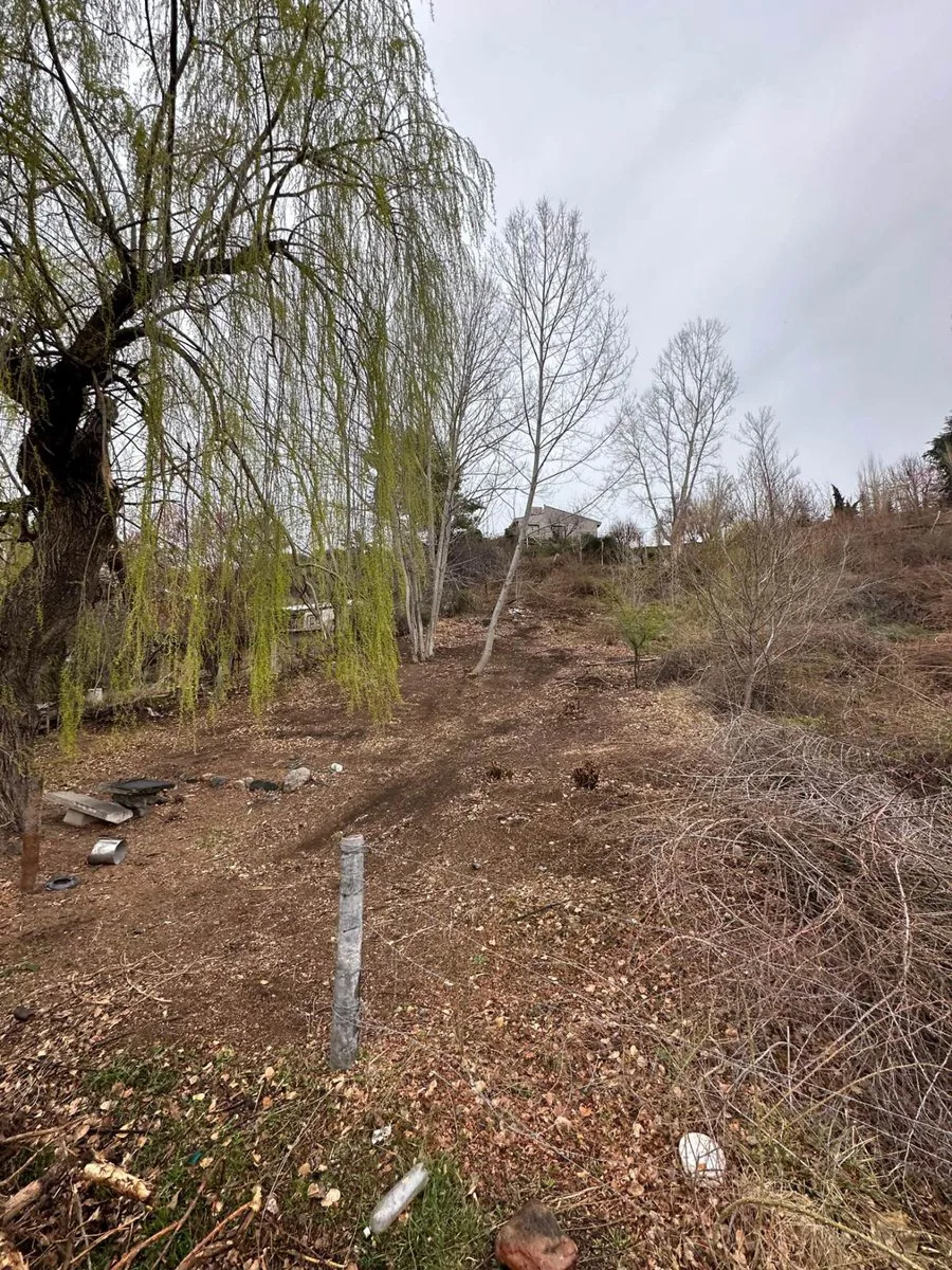 Venta de Lote en Potrerillos foto 2