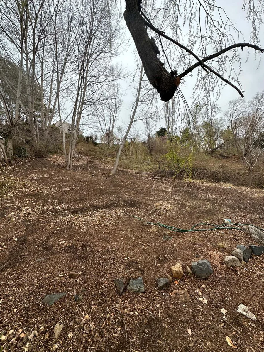 Venta de Lote en Potrerillos foto 3