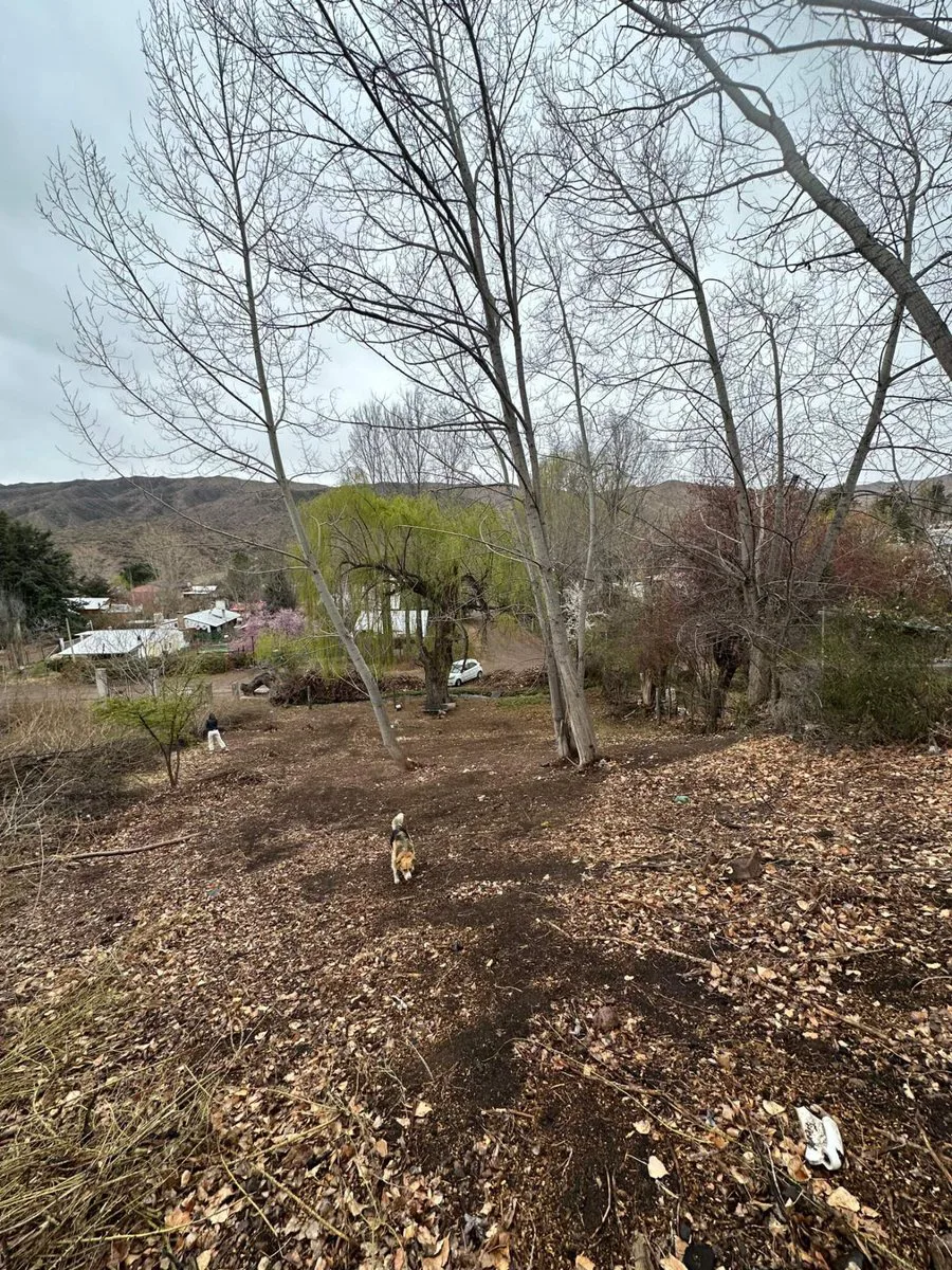 Venta de Lote en Potrerillos foto 4