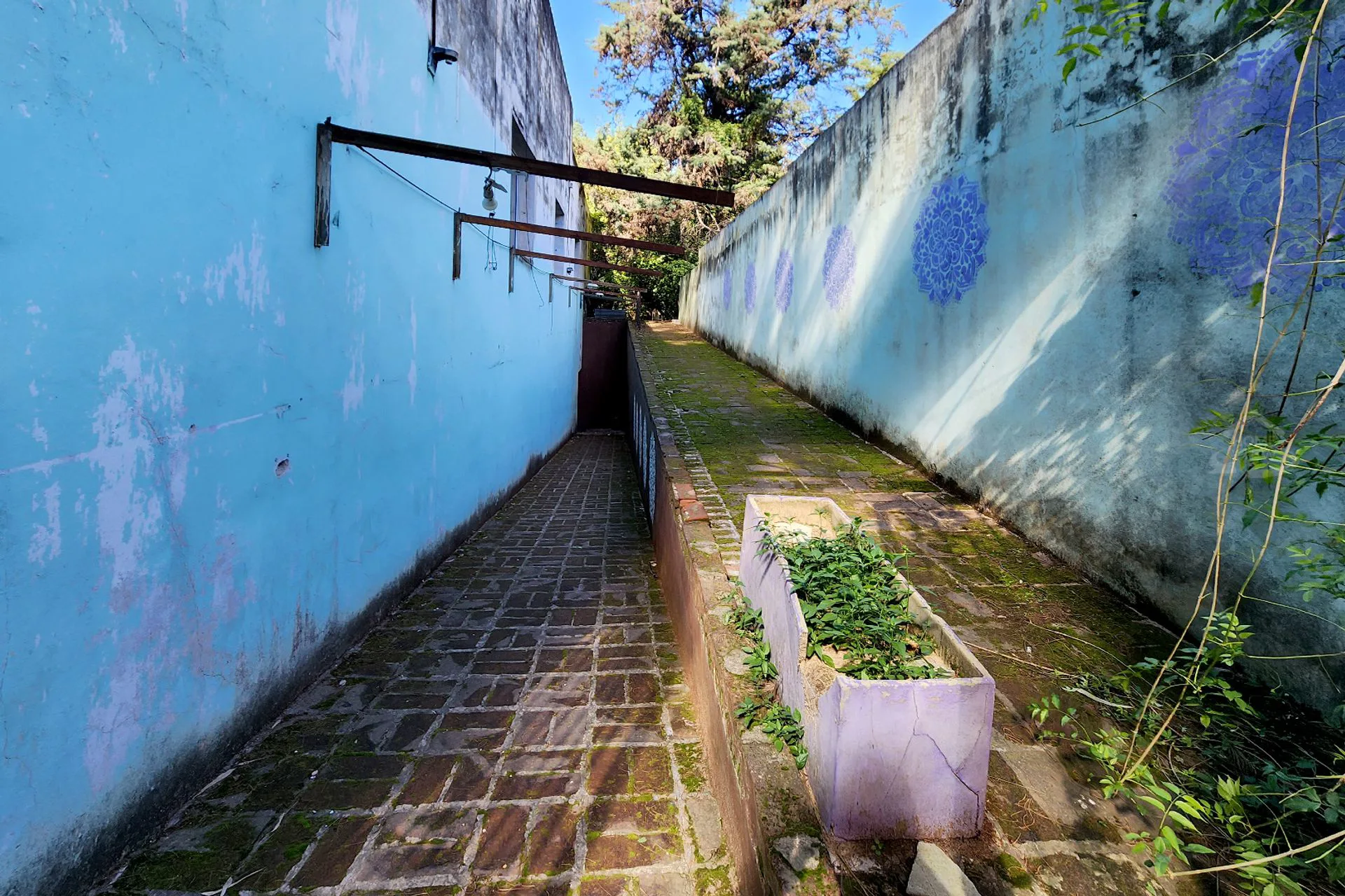 ALQUILER SUBSUELO + VIVIENDA IDEAL VS USOS COMERC foto 2