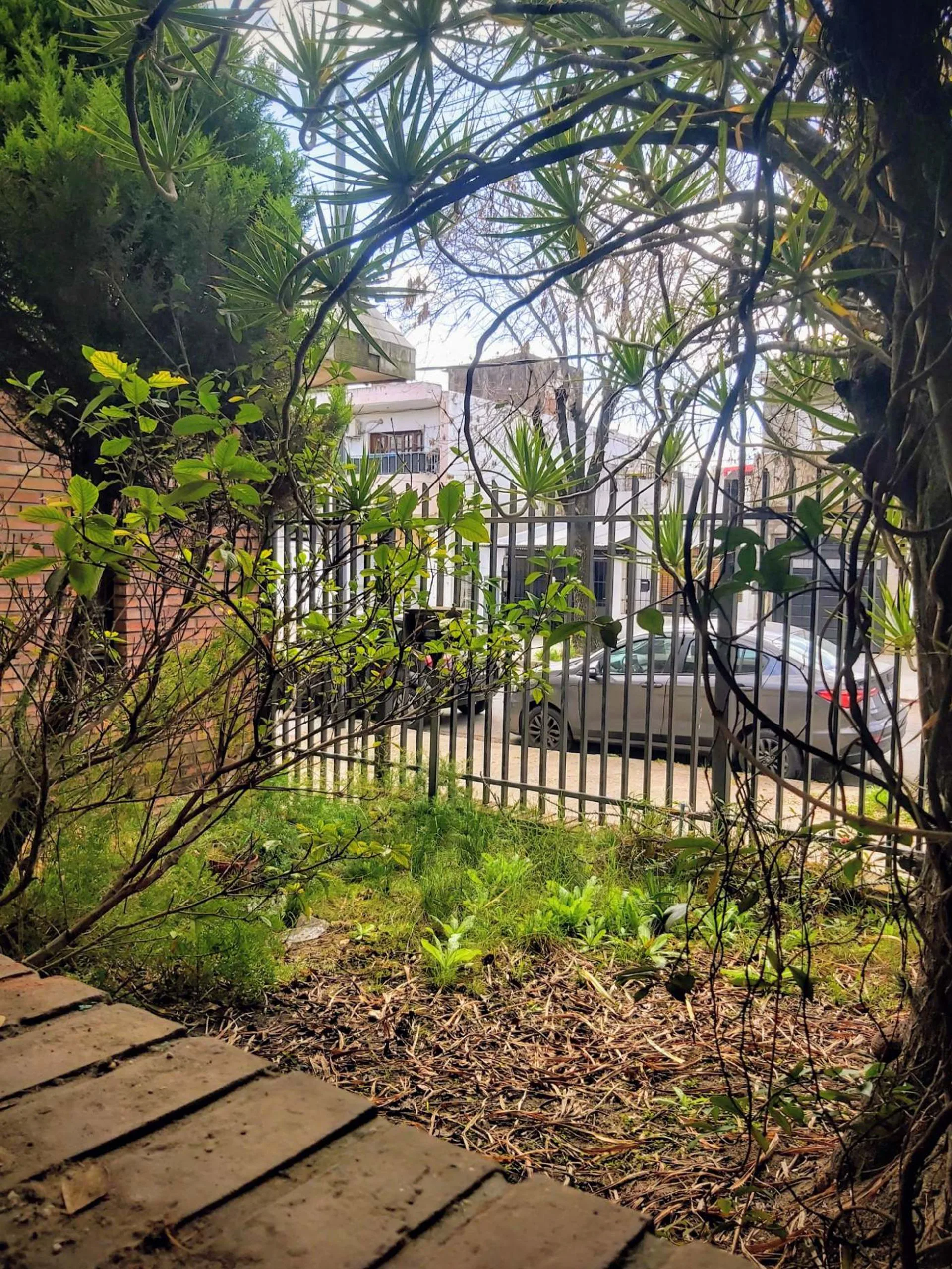 CASA EN VENTA 4 AMB CON PARQUE, VILLA LUGANO foto 3