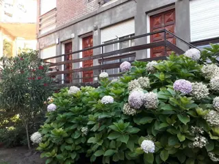 Triplex 3 ambientes en excepcional ubicación zona centro. foto 2