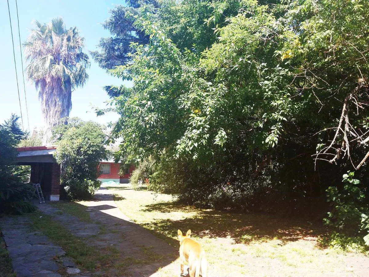 Venta terreno 1.570 m2 c/piscina ideal desarrollo foto 2