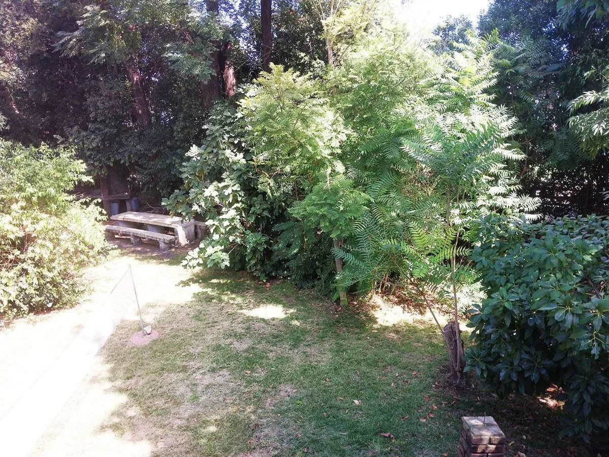 Venta terreno 1.570 m2 c/piscina ideal desarrollo foto 3