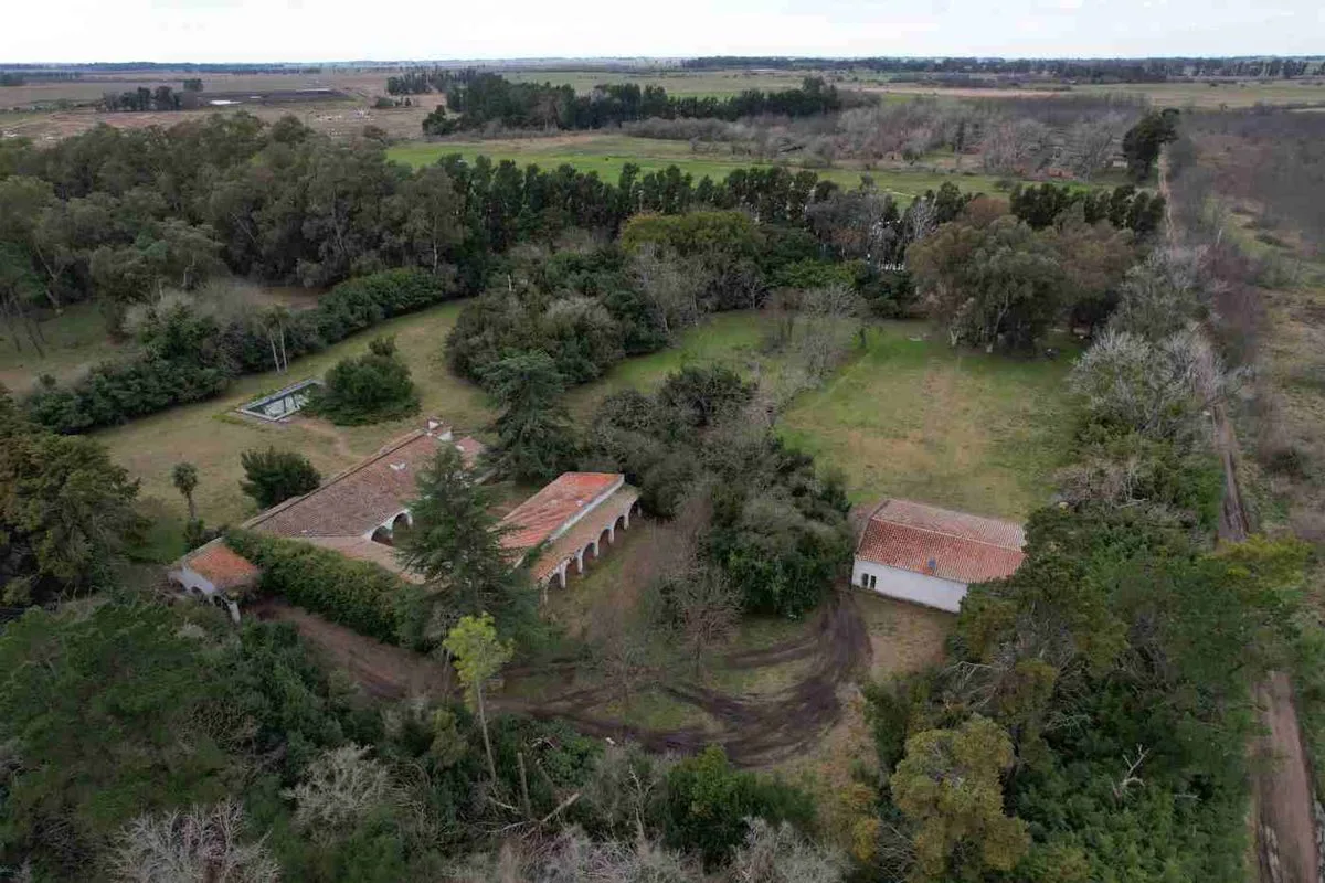 VENTA ESTANCIA LA FRANCESA BRANDSEN/CAMPO MIXTO