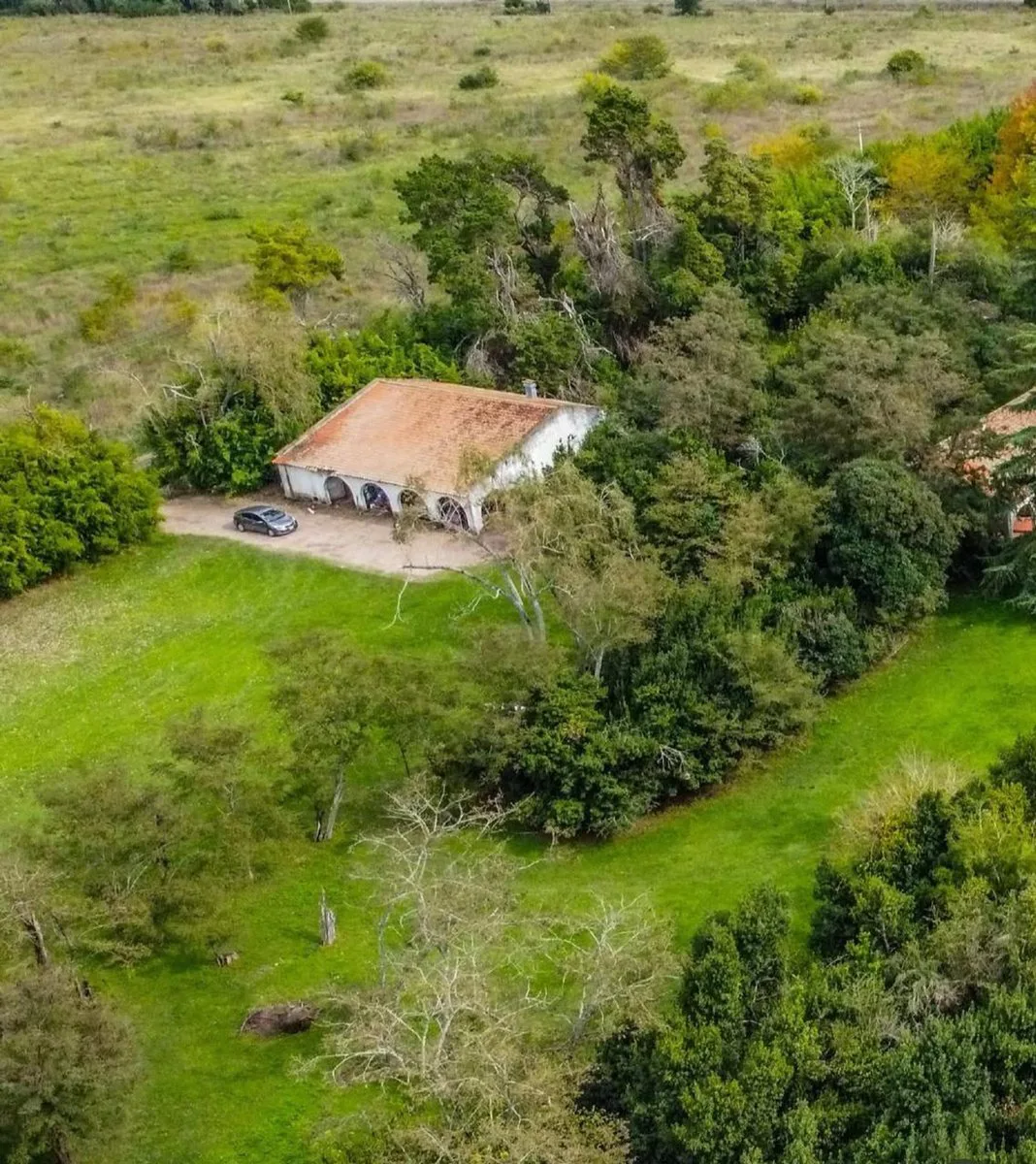 VENTA ESTANCIA LA FRANCESA BRANDSEN/CAMPO MIXTO foto 2