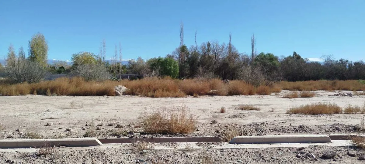 Lote 230m aprox Solares de Roca Guaymallén foto 5