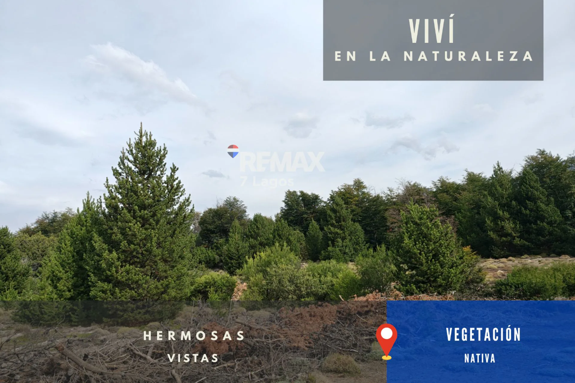 Lote en Las Jorgelinas - Villa Meliquina - L7 - J1 foto 3